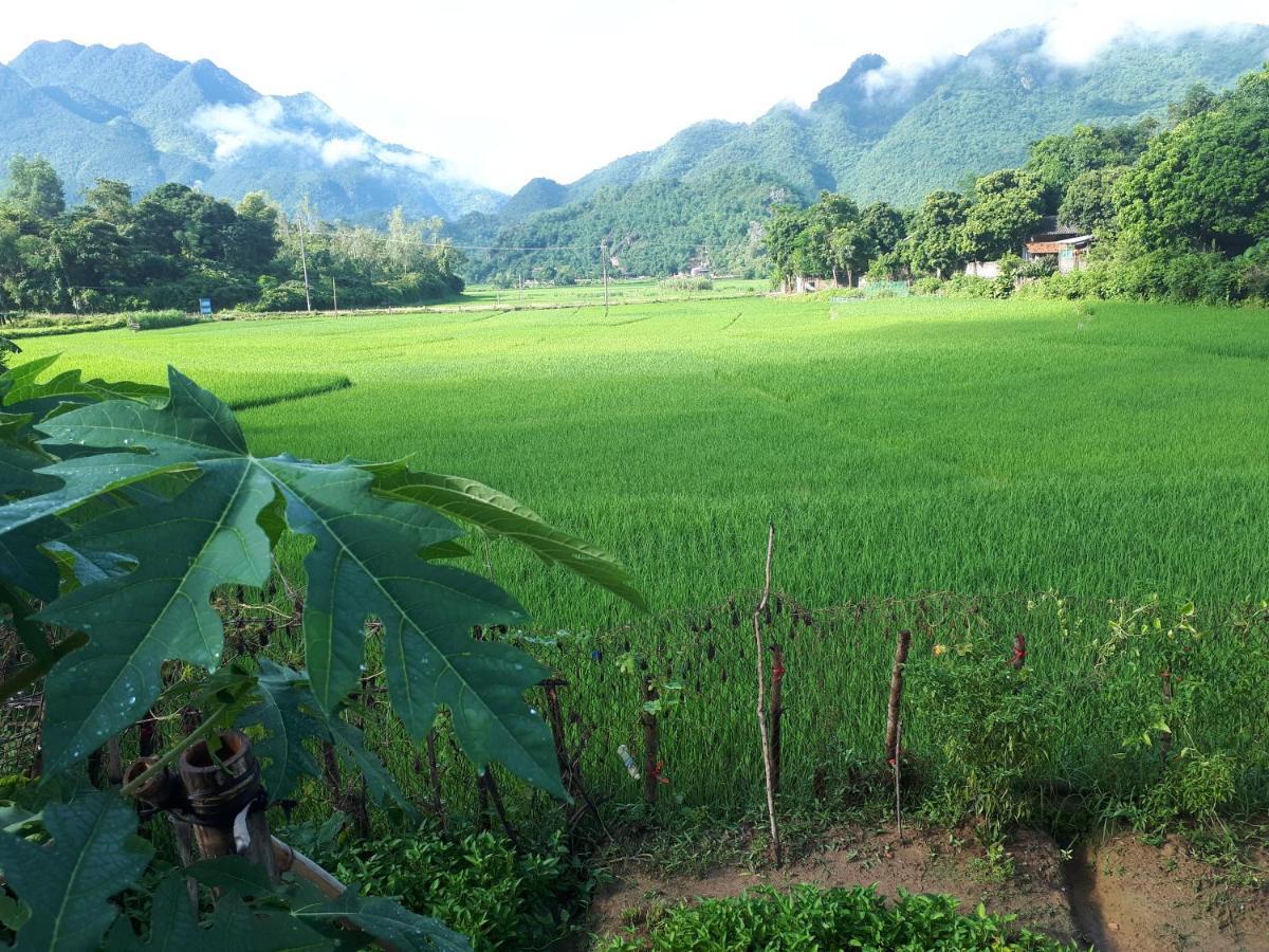 Meadow Mai Chau Homestay Εξωτερικό φωτογραφία