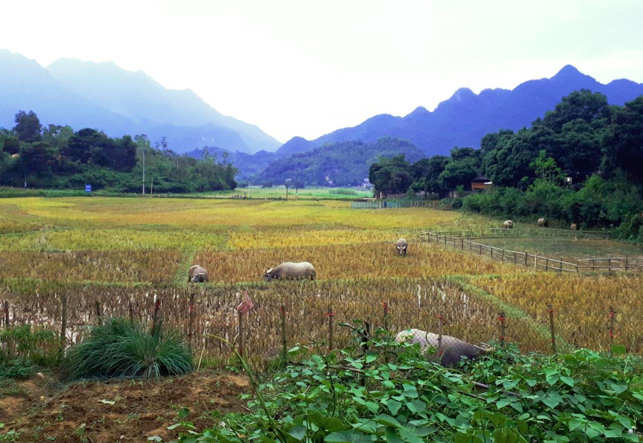 Meadow Mai Chau Homestay Εξωτερικό φωτογραφία