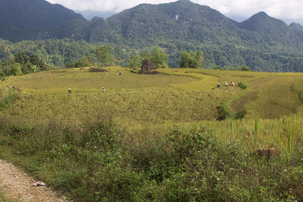 Meadow Mai Chau Homestay Εξωτερικό φωτογραφία